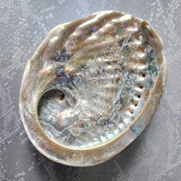 Abalone Smudging Shell - Picture 4 of 7